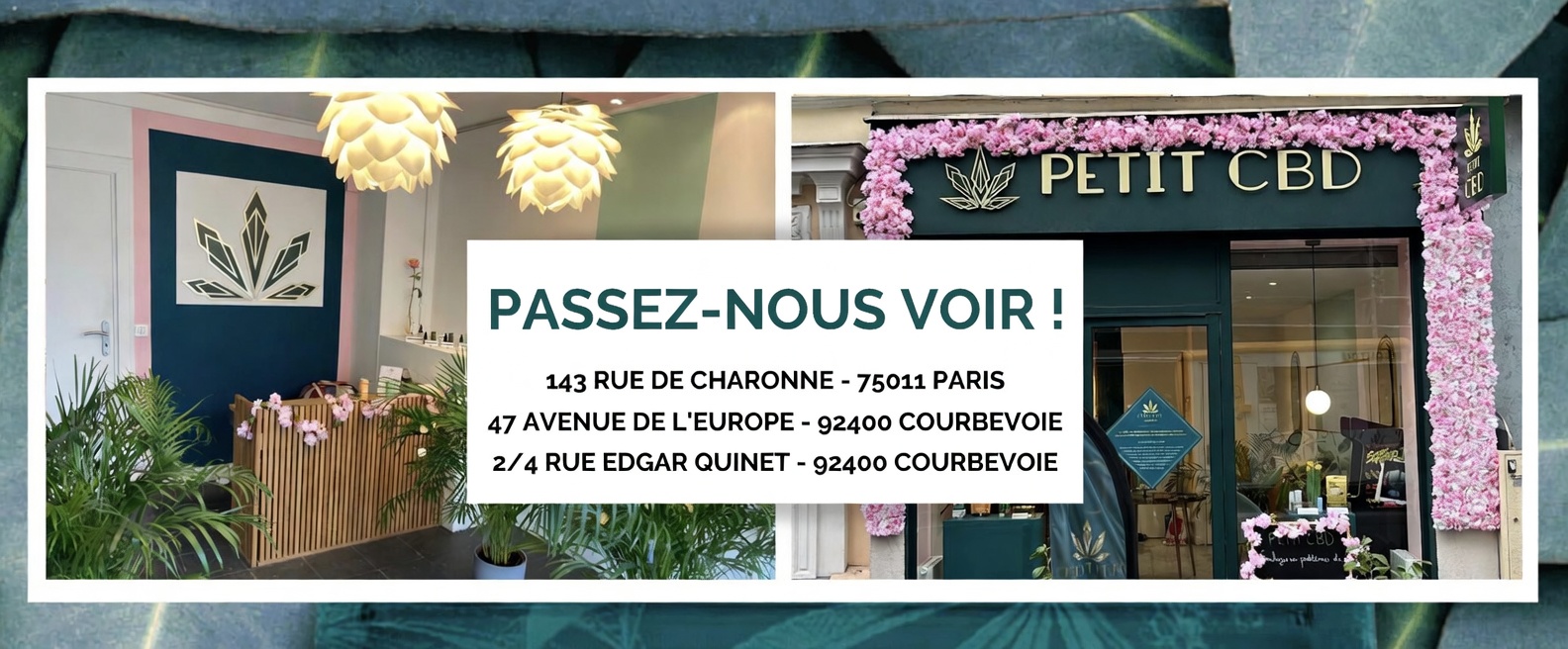 Devanture Le Petit CBD